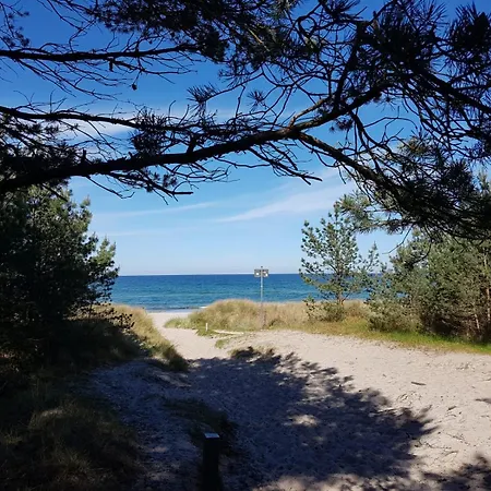 Lohme-hagen Im Nationalpark *