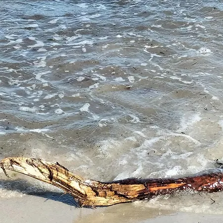 Apartmán Lohme-hagen Im Nationalpark